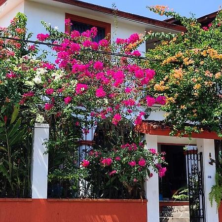 Posada Bugambilias Catemaco Eksteriør billede