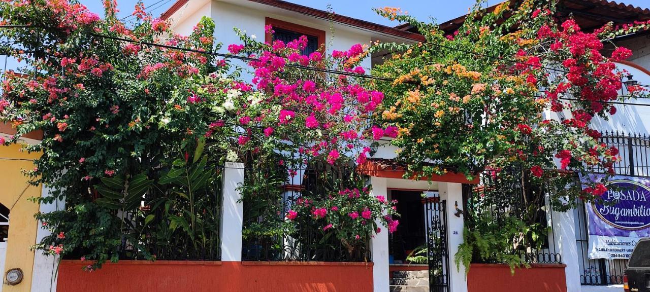 Posada Bugambilias Catemaco Eksteriør billede